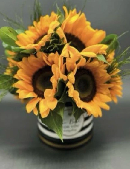 Girasoles